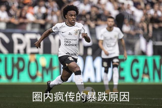 圈内疯传的暴跌原因